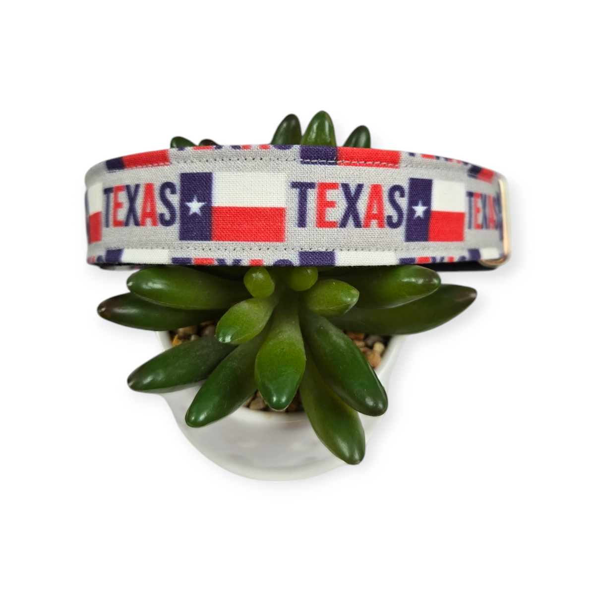 Texas Pride on Gray Dog Collar (Medium)