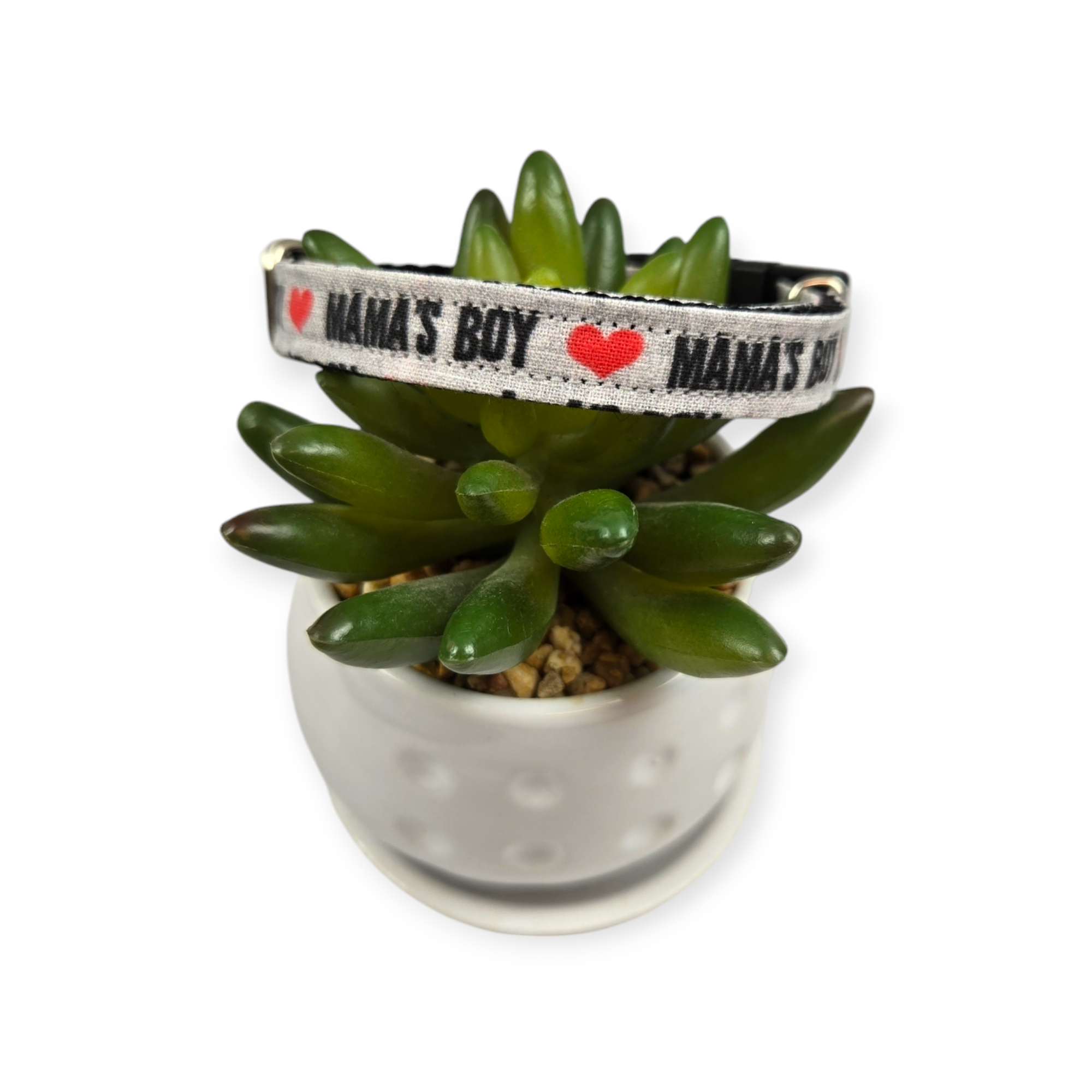 Mama's Boy Dog Collar (XX-Small)