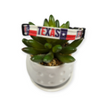 Texas Flags Dog collar (X-Small)