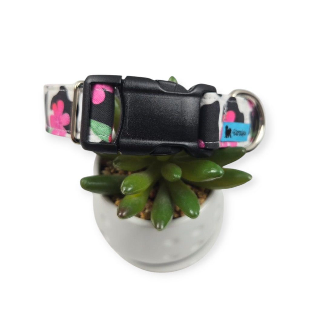 Cow Print with Hot Pink Flowers Dog Collar (Medium, 1" wide)