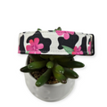 Cow Print with Hot Pink Flowers Dog Collar (Medium, 1" wide)