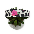 Cow Print with Hot Pink Flowers Dog Collar (Large)