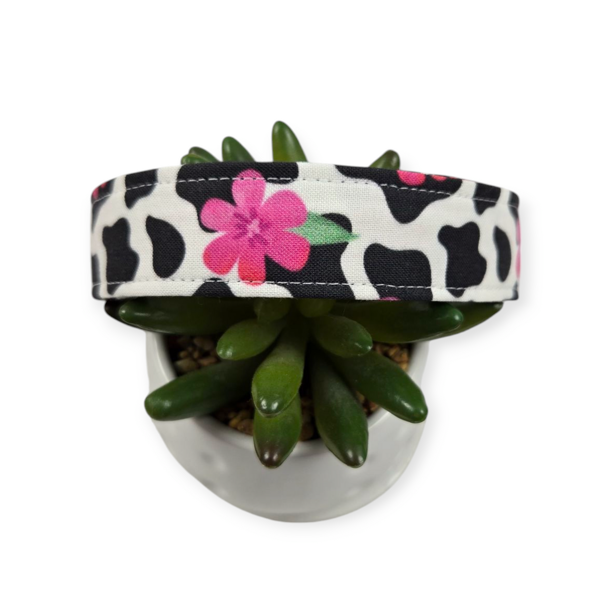 Cow Print with Hot Pink Flowers Dog Collar (Large)