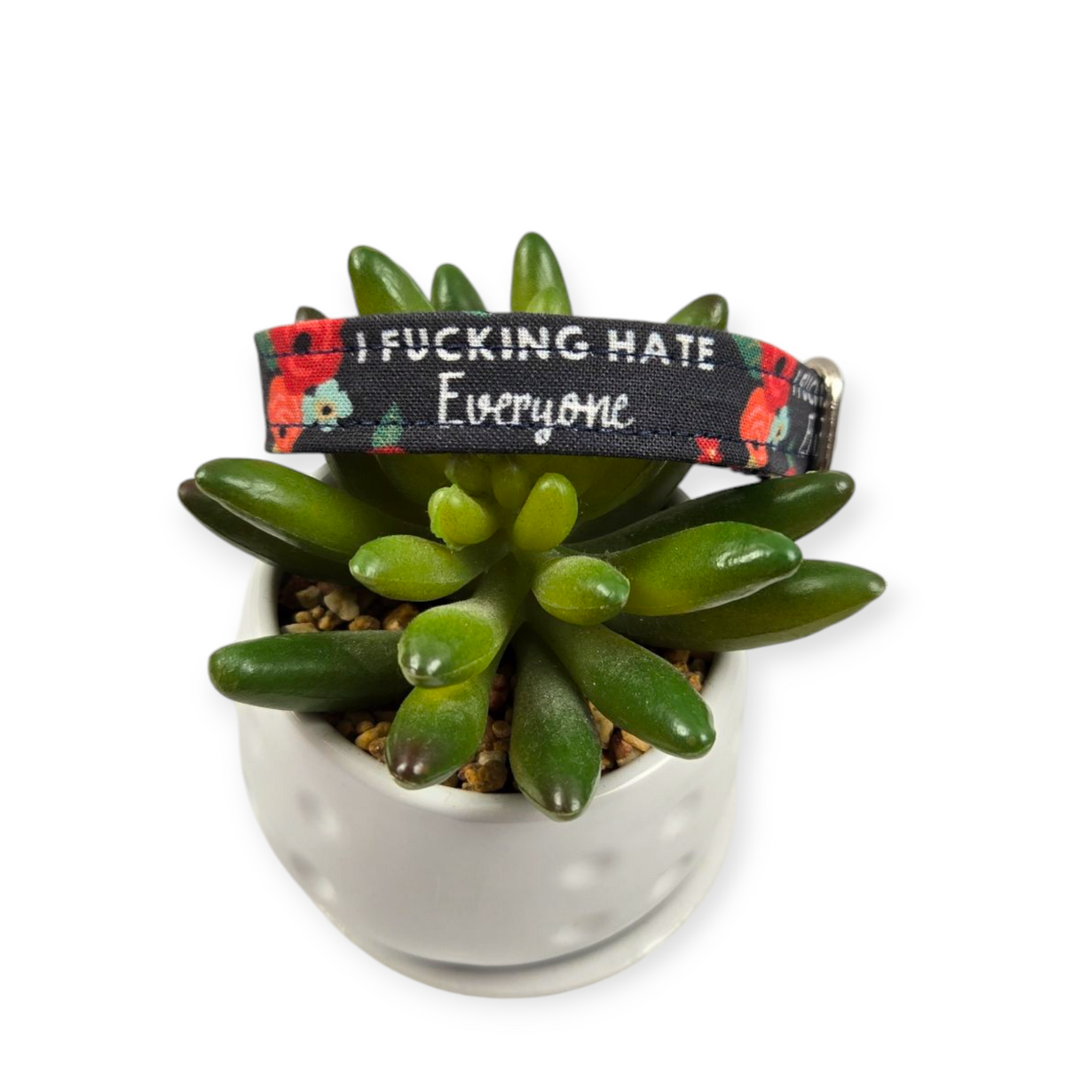 I Hate Everyone Dog collar (Small)