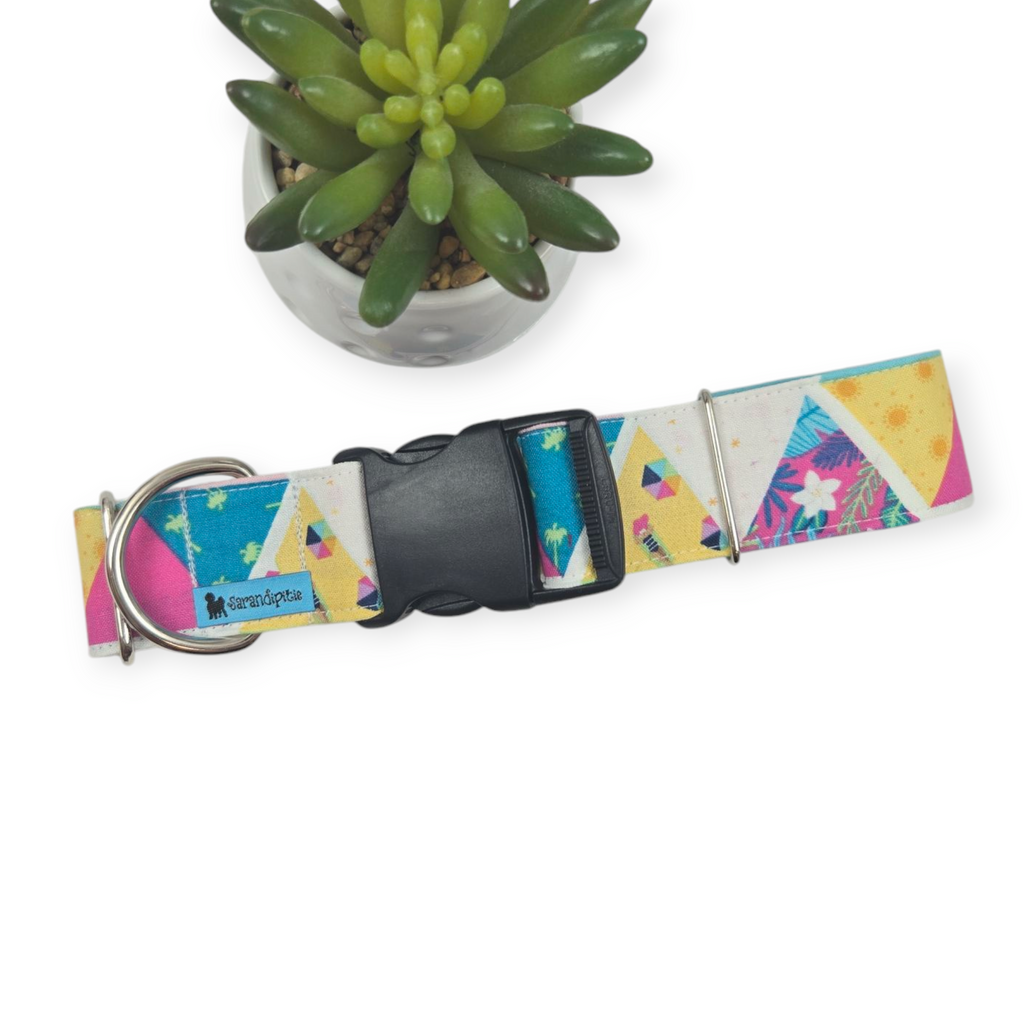 Summer Lovin' Dog collar (X-Large, 1.5" wide)