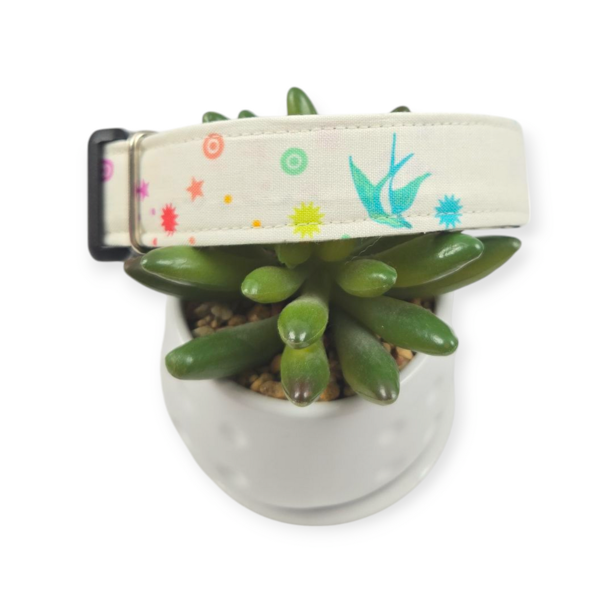 Fairy Dust Dog Collar (Medium, 1" wide)