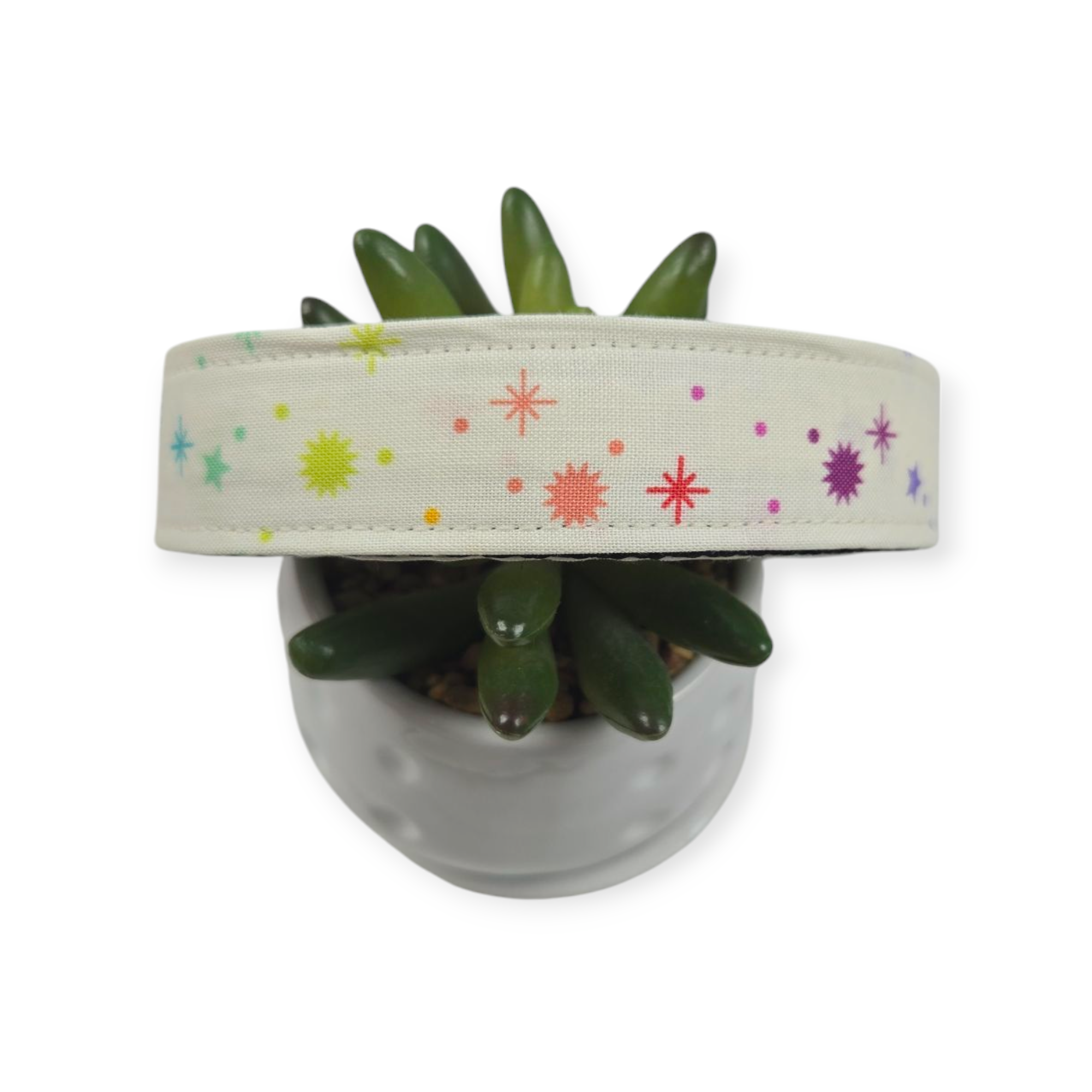 Fairy Dust Dog Collar (Large)
