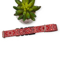 Red Bandana Dog Collar (X-Large, 1" wide)