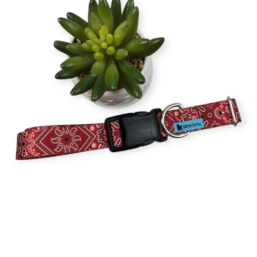 Red Bandana Dog Collar (X-Large, 1" wide)