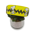Peanuts Dog Collar (Medium, 1.5" wide)