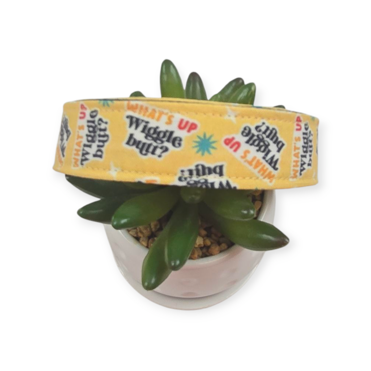 What's Up Wiggle Butt Dog Collar (Large)