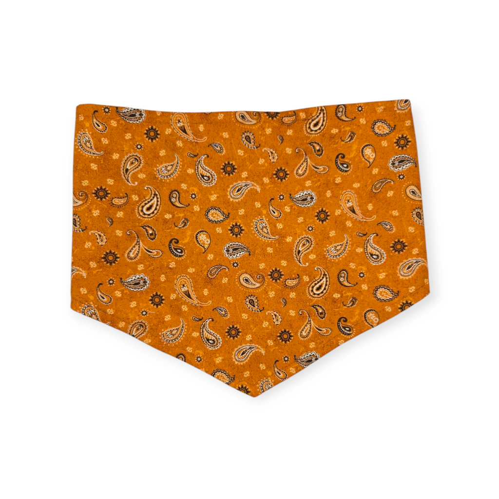 UT Mascot/Rust Orange Paisley Reversible Tie-on Bandana (Medium)