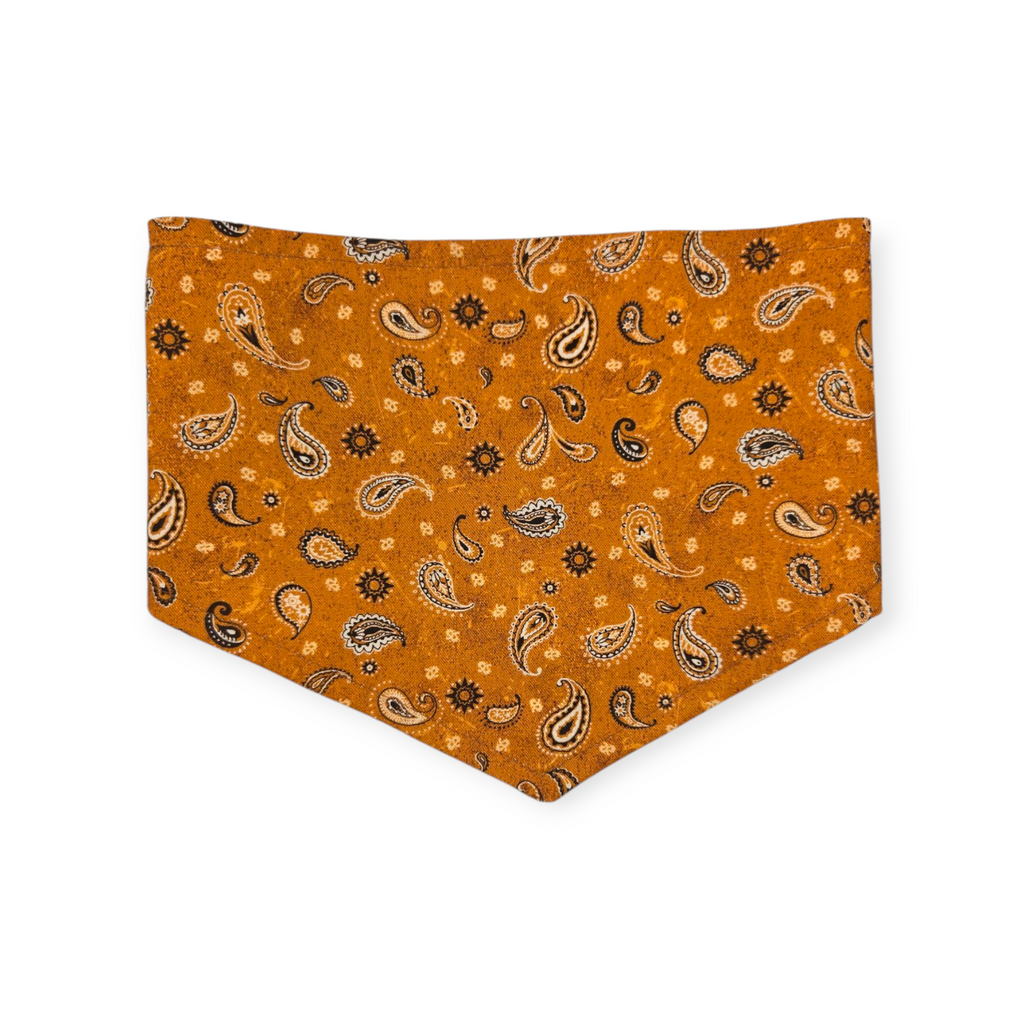 UT Mascot/Rust Orange Paisley Reversible Tie-on Bandana (Small)