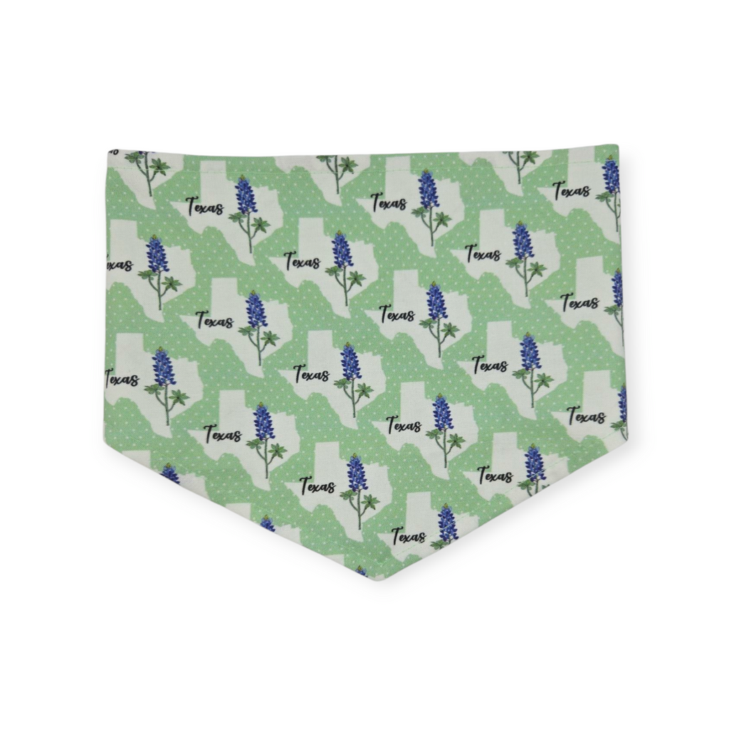 Bluebonnets & Texas /Mint Plaid Reversible Tie-on Bandana (Medium)