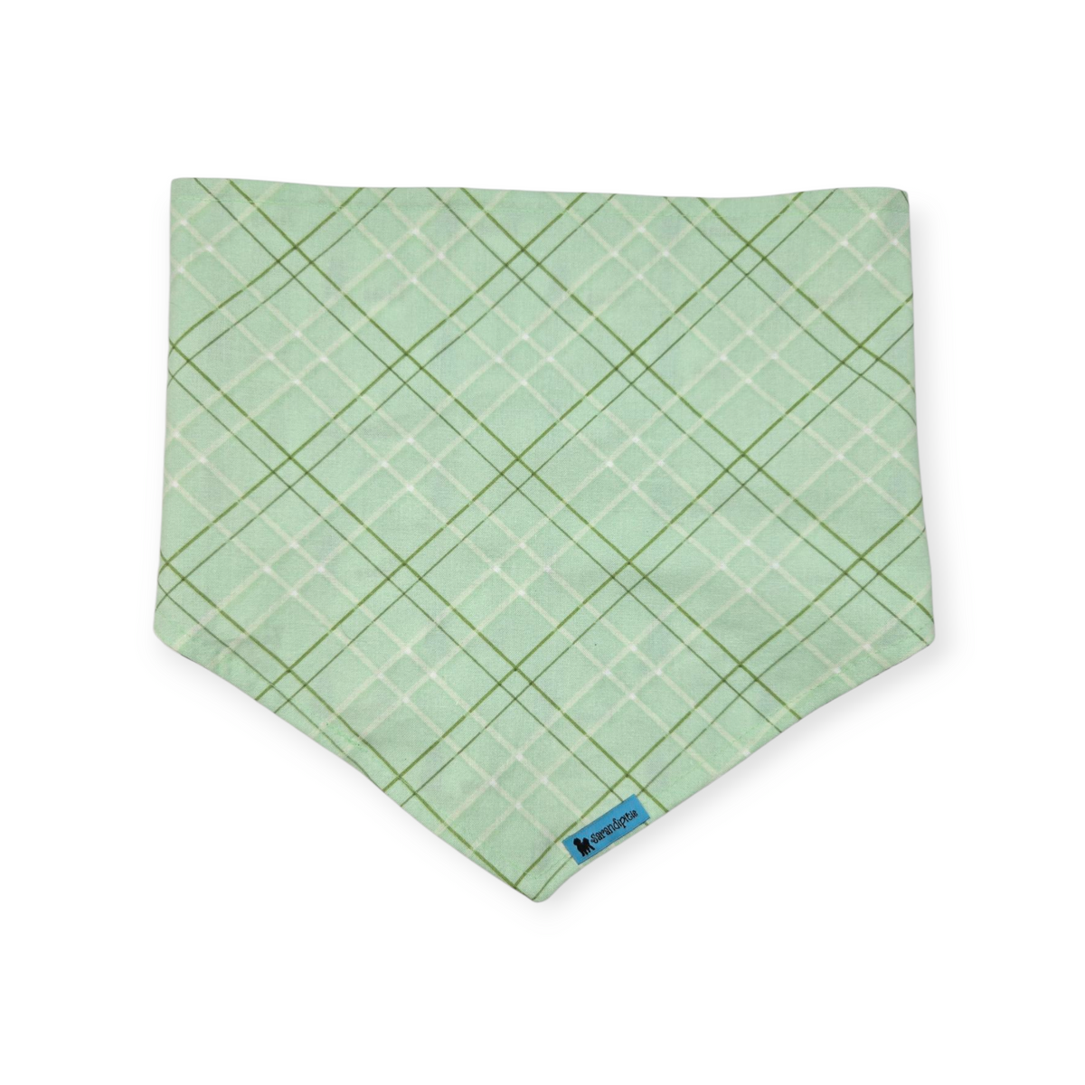 Bluebonnets & Texas /Mint Plaid Reversible Tie-on Bandana (Large)