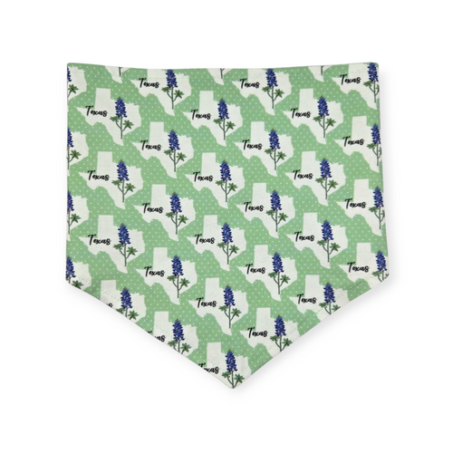 Bluebonnets & Texas /Mint Plaid Reversible Tie-on Bandana (Large)