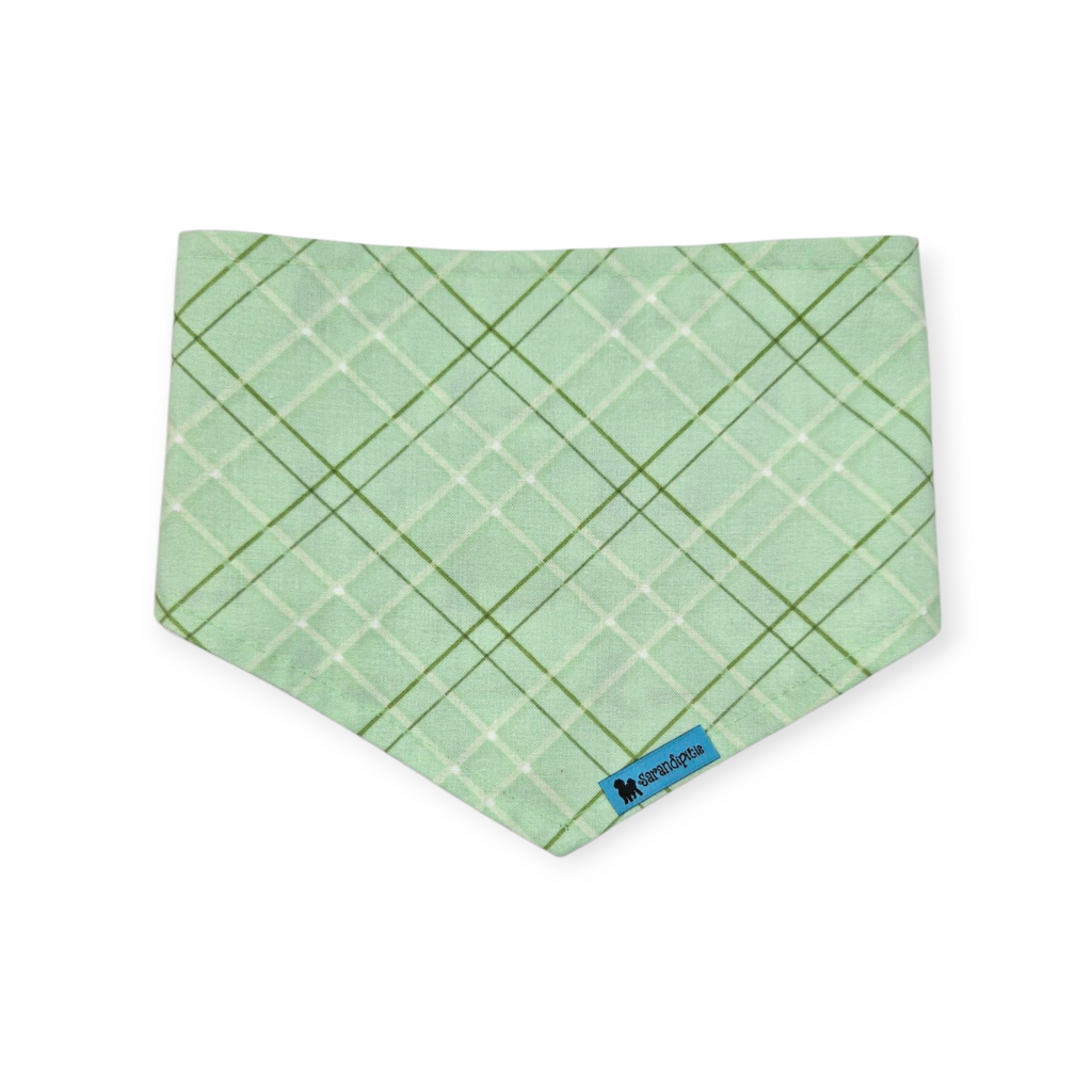 Bluebonnets & Texas /Mint Plaid Reversible Tie-on Bandana (Small)
