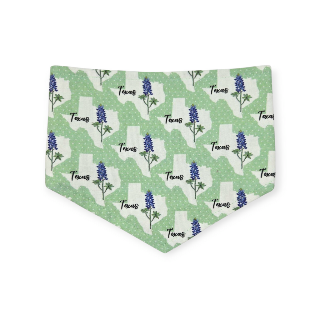 Bluebonnets & Texas /Mint Plaid Reversible Tie-on Bandana (Small)