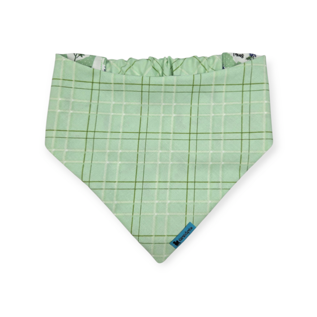 Bluebonnets & Texas /Mint Plaid Reversible Slip-on Scrunchie Bandana (Medium/Large)