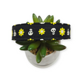 Loves Me Not Dog Collar (Large)