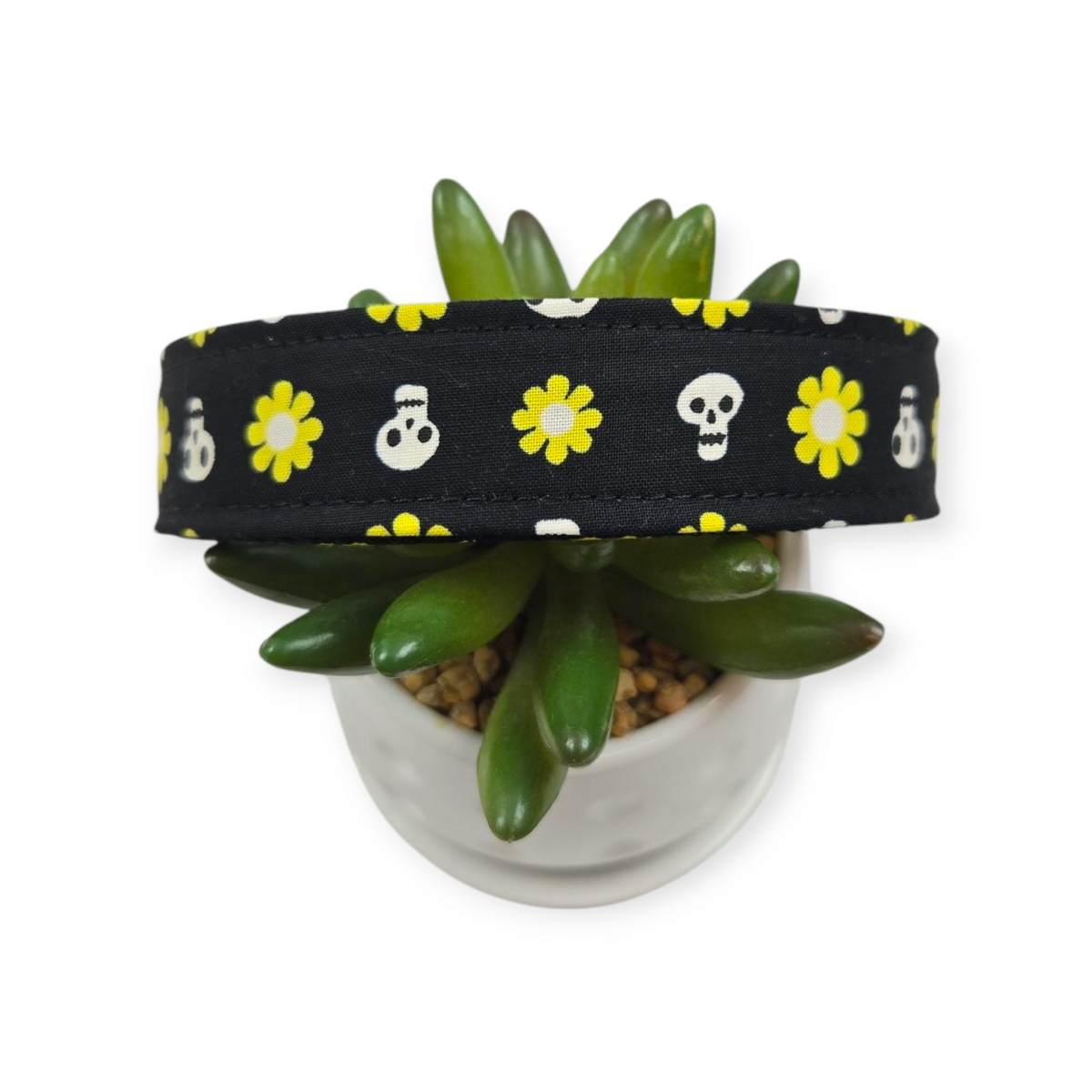 Loves Me Not Dog Collar (Large)