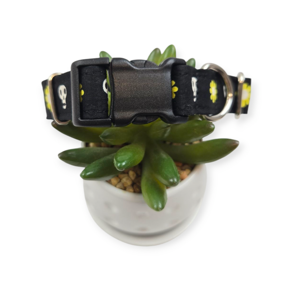 Loves Me Not Dog collar (Medium)