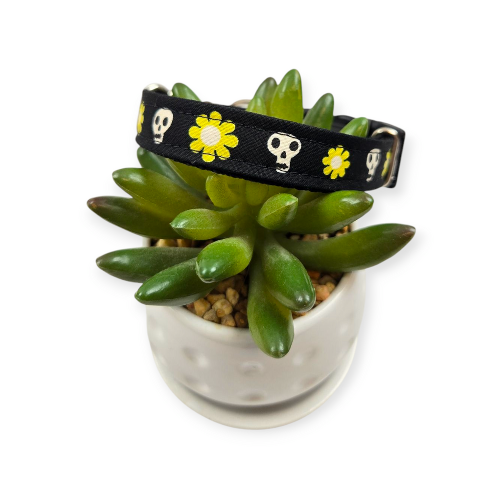 Loves Me Not Dog collar (Small)