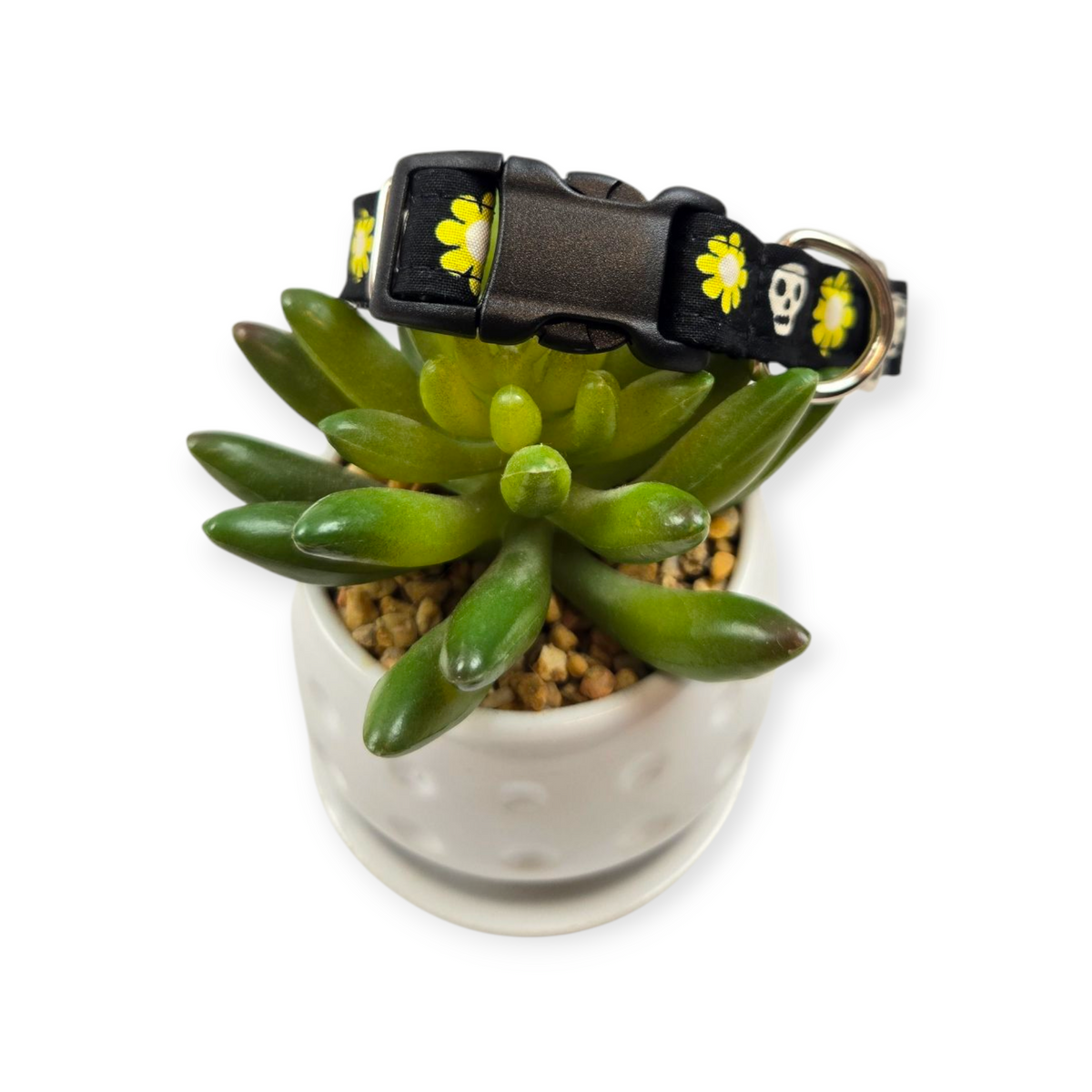 Loves Me Not Dog collar (Small)
