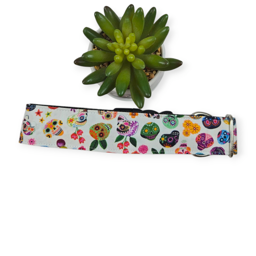 Hola Frieda Dog Collar (X-Large, 1.5" wide)