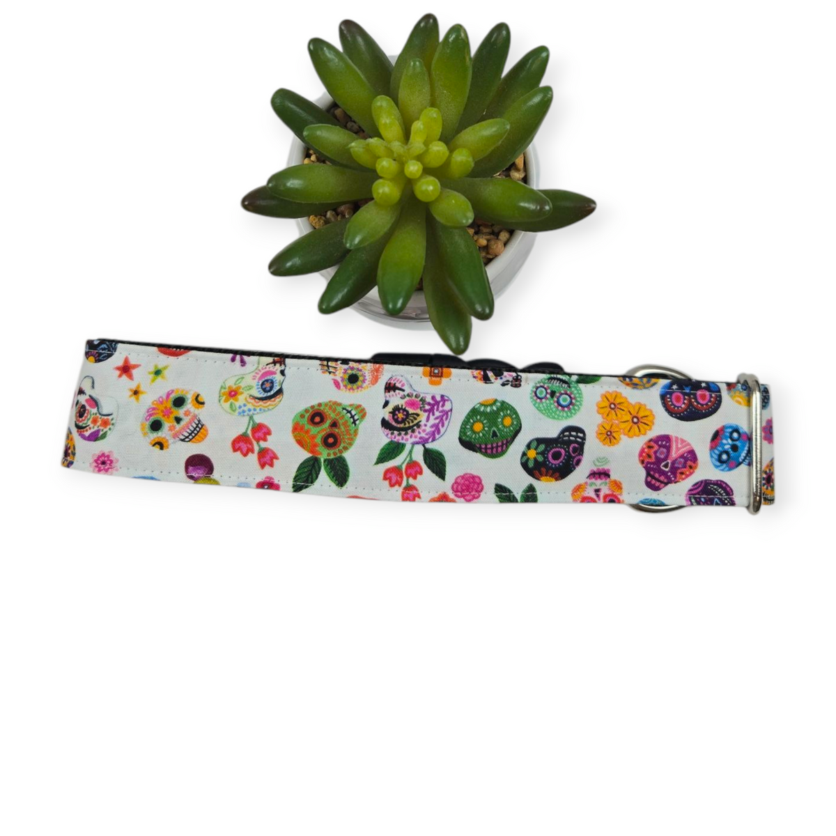 Hola Frieda Dog Collar (X-Large, 1.5" wide)