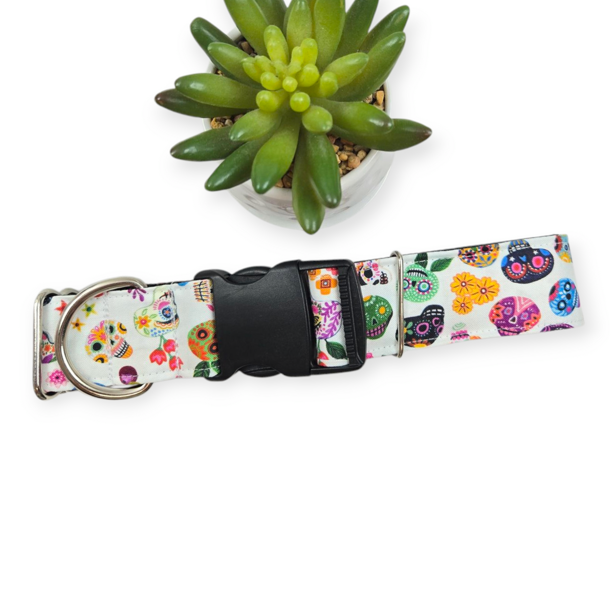 Hola Frieda Dog Collar (X-Large, 1.5" wide)