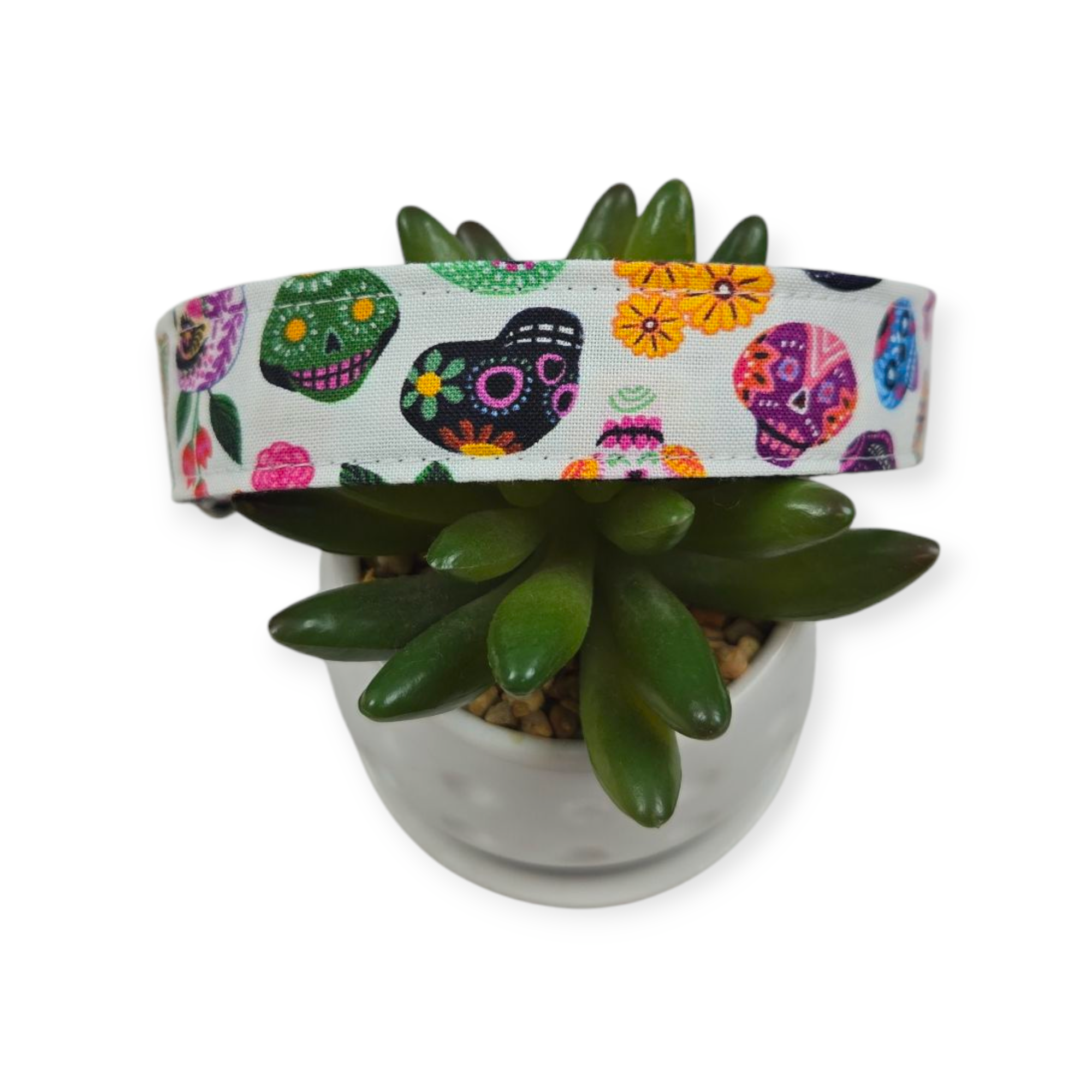 Hola Frieda Dog Collar (Large)