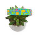 Taco Garden Dog collar (Medium)