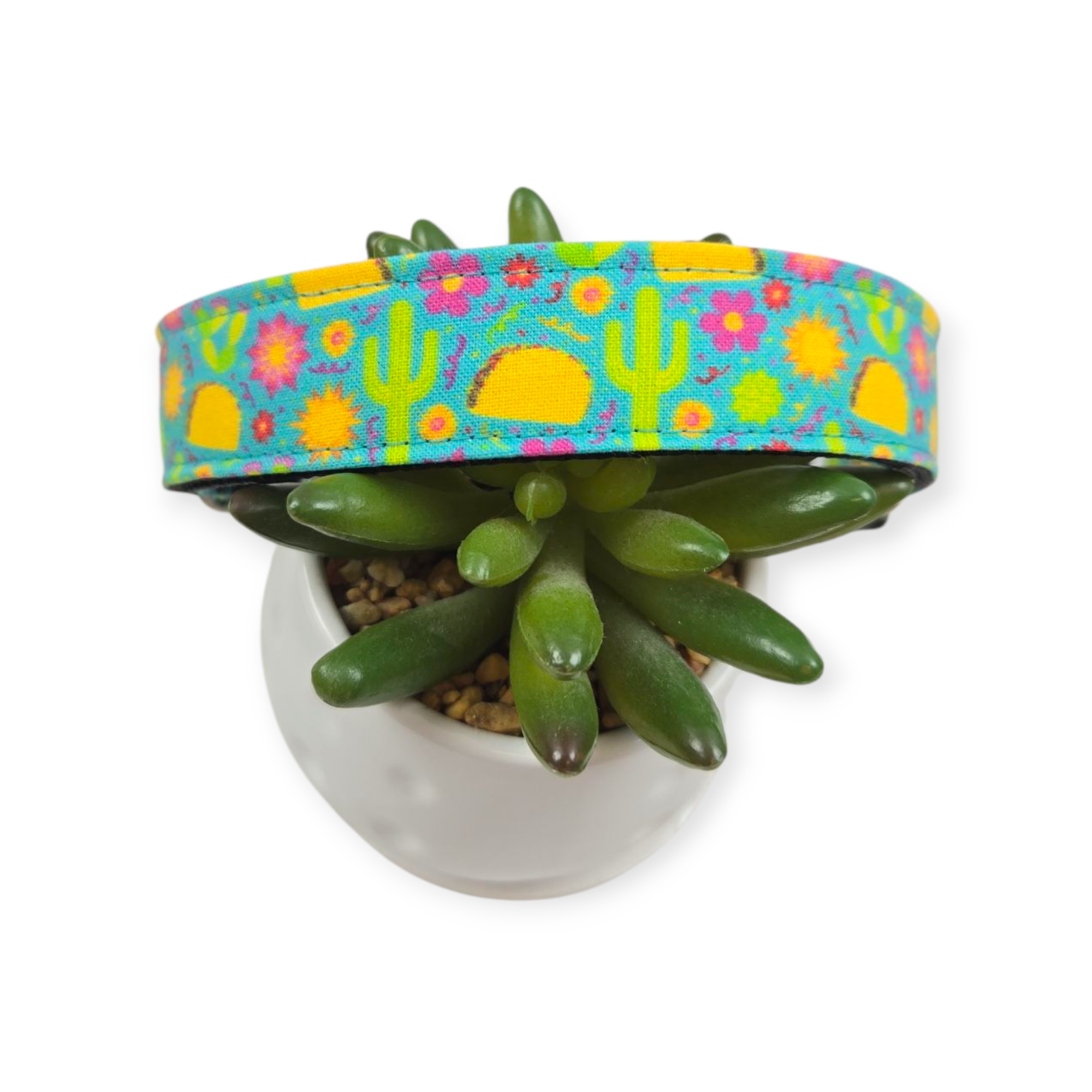 Taco Garden Dog collar (Large)