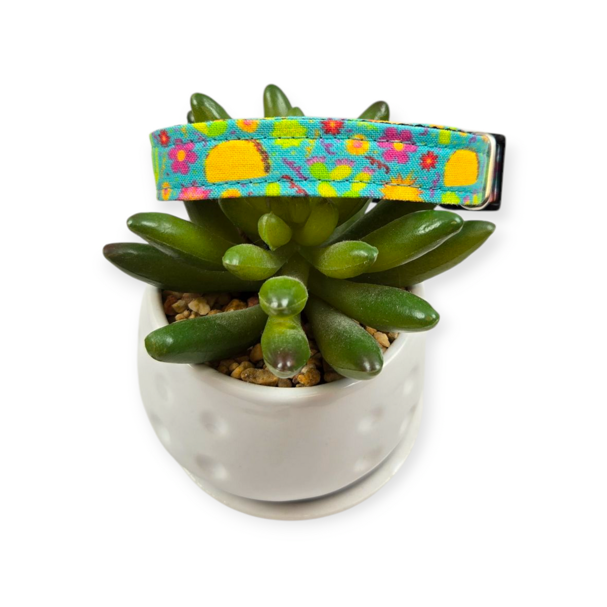 Taco Garden Dog collar (Small)