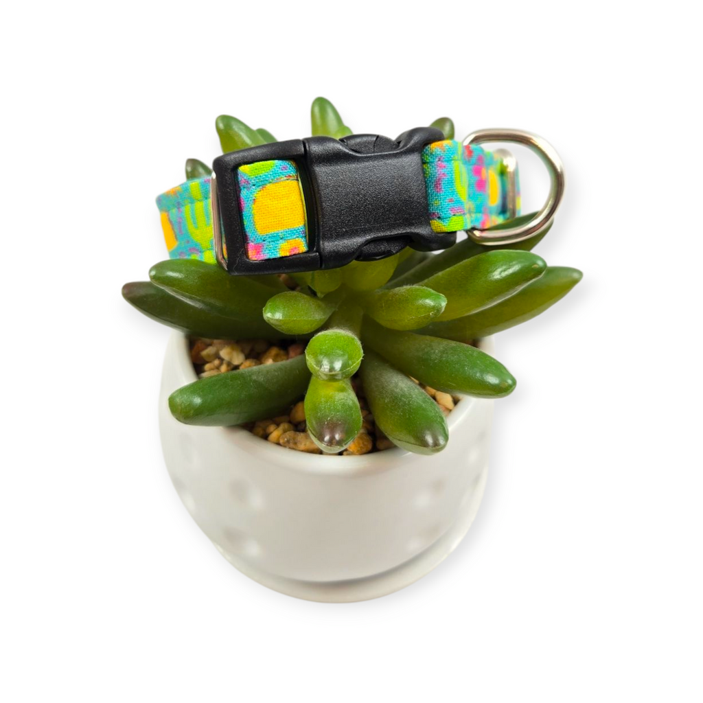 Taco Garden Dog collar (Small)