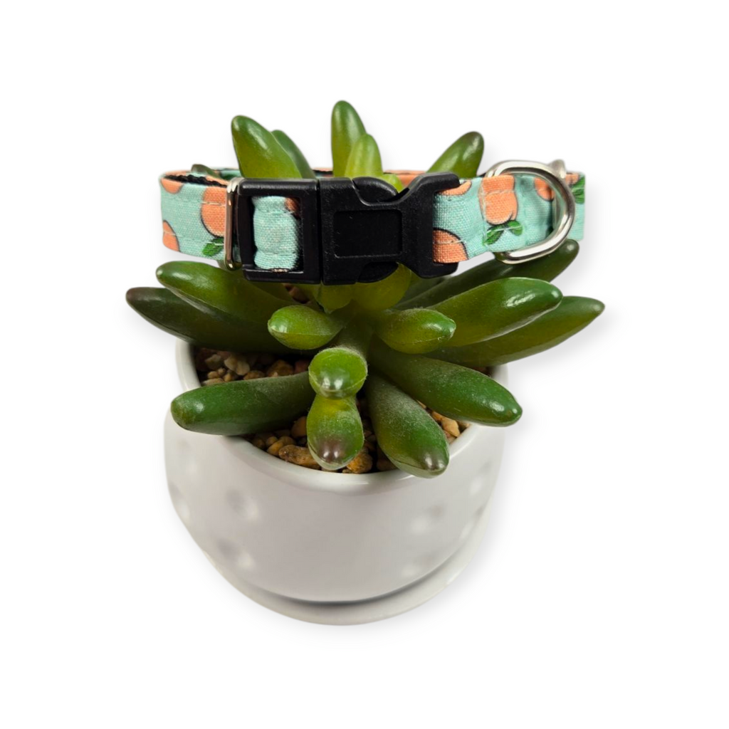 Peaches & Aqua Polka Dots Dog collar (XX-Small)