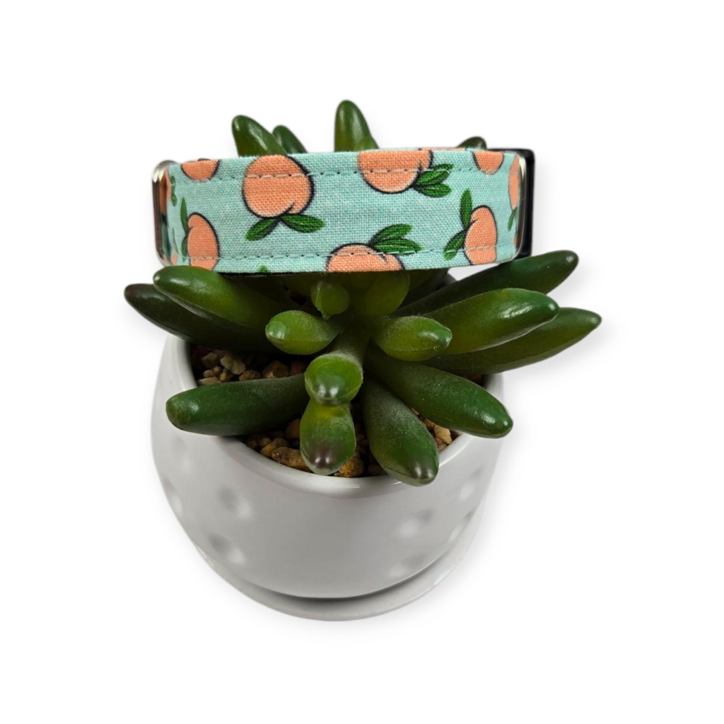 Peaches & Aqua Polka Dots Dog collar (Small, 3/4" wide)