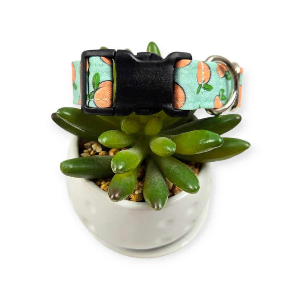 Peaches & Aqua Polka Dots Dog collar (Small, 3/4" wide)