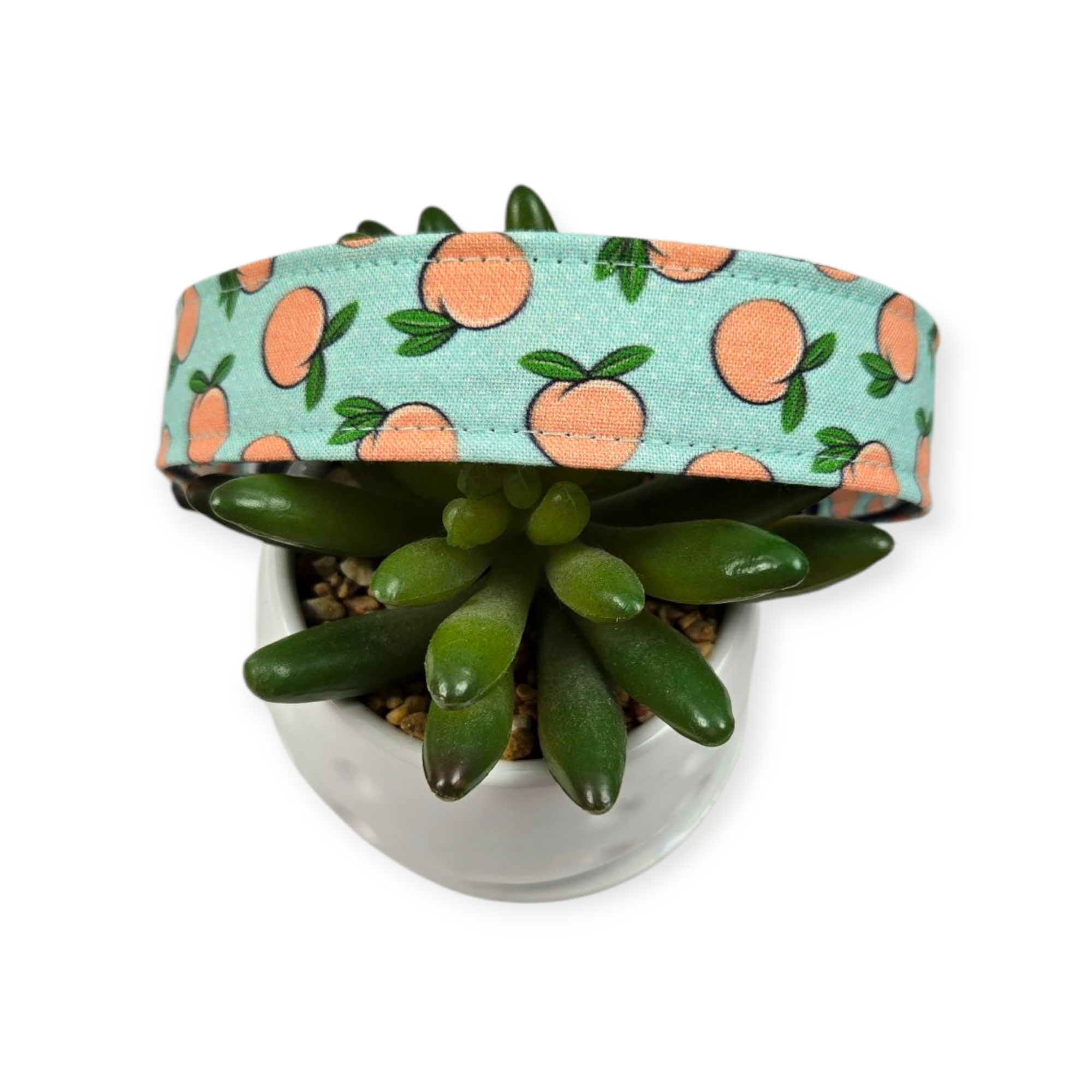 Peaches & Aqua Polka Dots Dog collar (Large)
