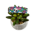 Skulls and Roses Pink on Teal Dog collar (Small, 3/4" wide)