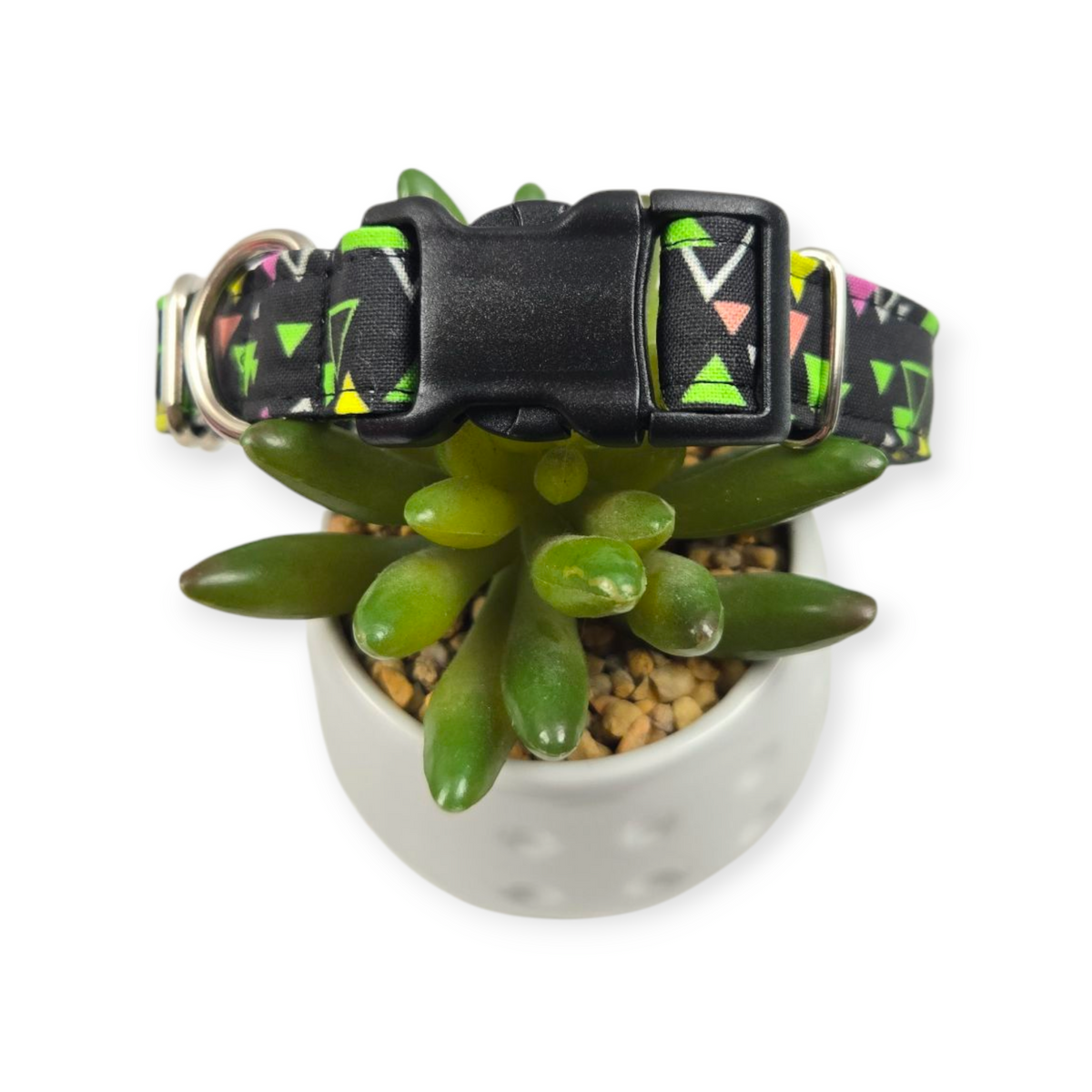 "The Max" Dog Collar