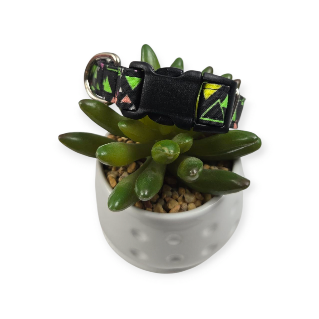 "The Max" Dog Collar