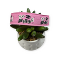 So Fetch Dog Collar (Large)