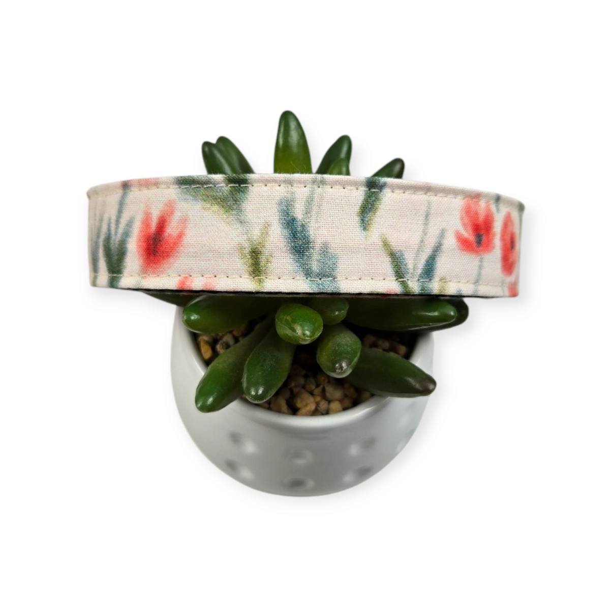 Watercolor Poppies Dog Collar (Large)