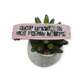 Stop Trying to Make Fetch Happen Dog Collar (Large)