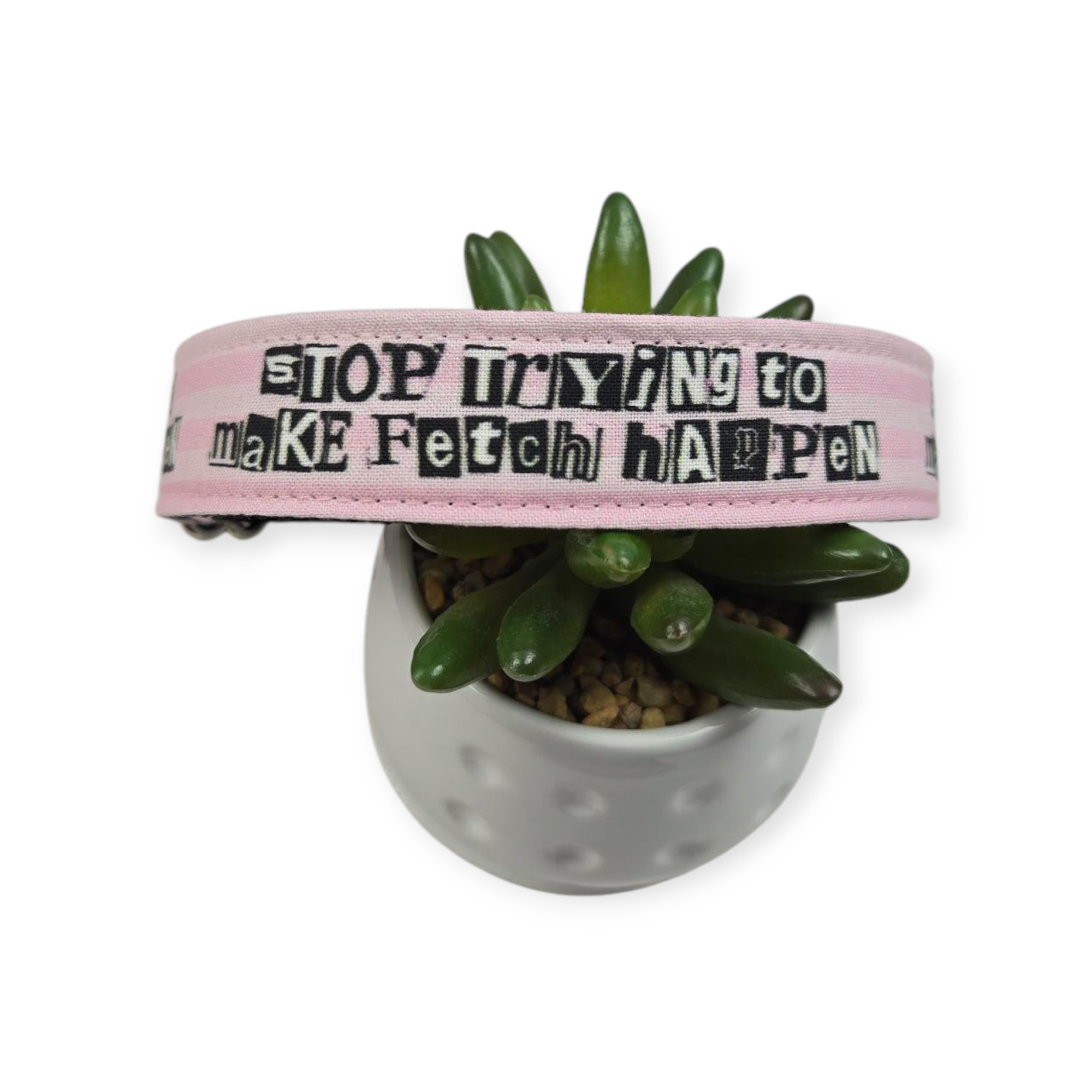 Stop Trying to Make Fetch Happen Dog Collar (Large)