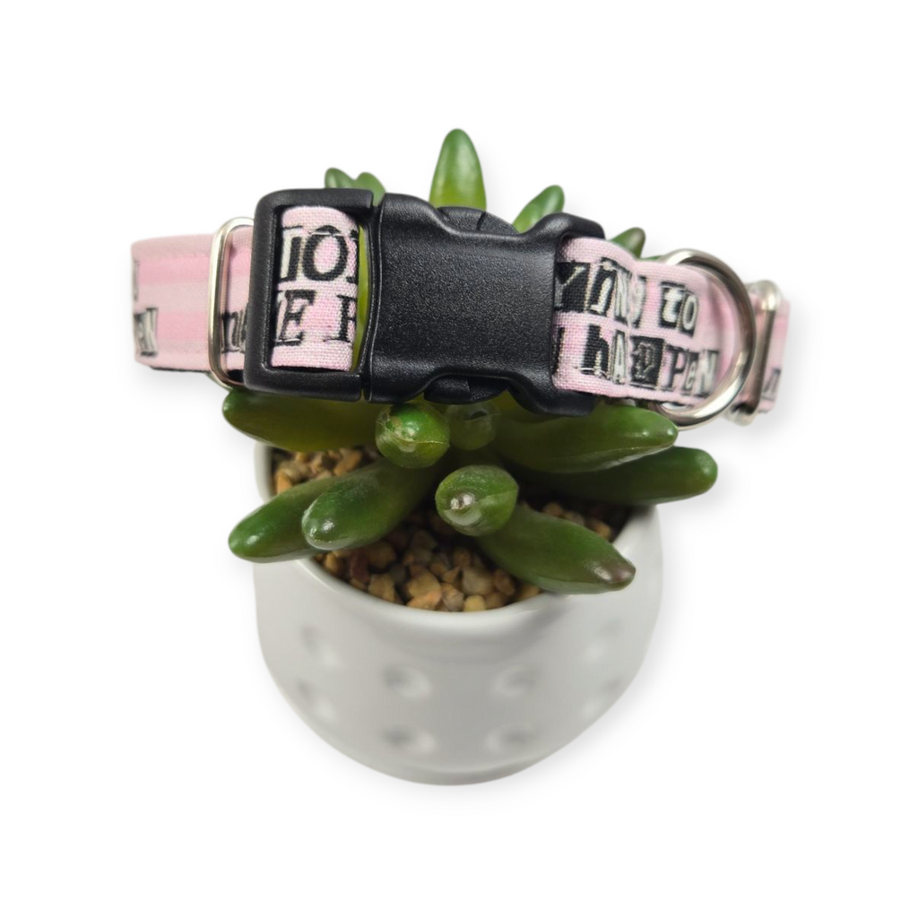 Stop Trying to Make Fetch Happen Dog collar (Medium)
