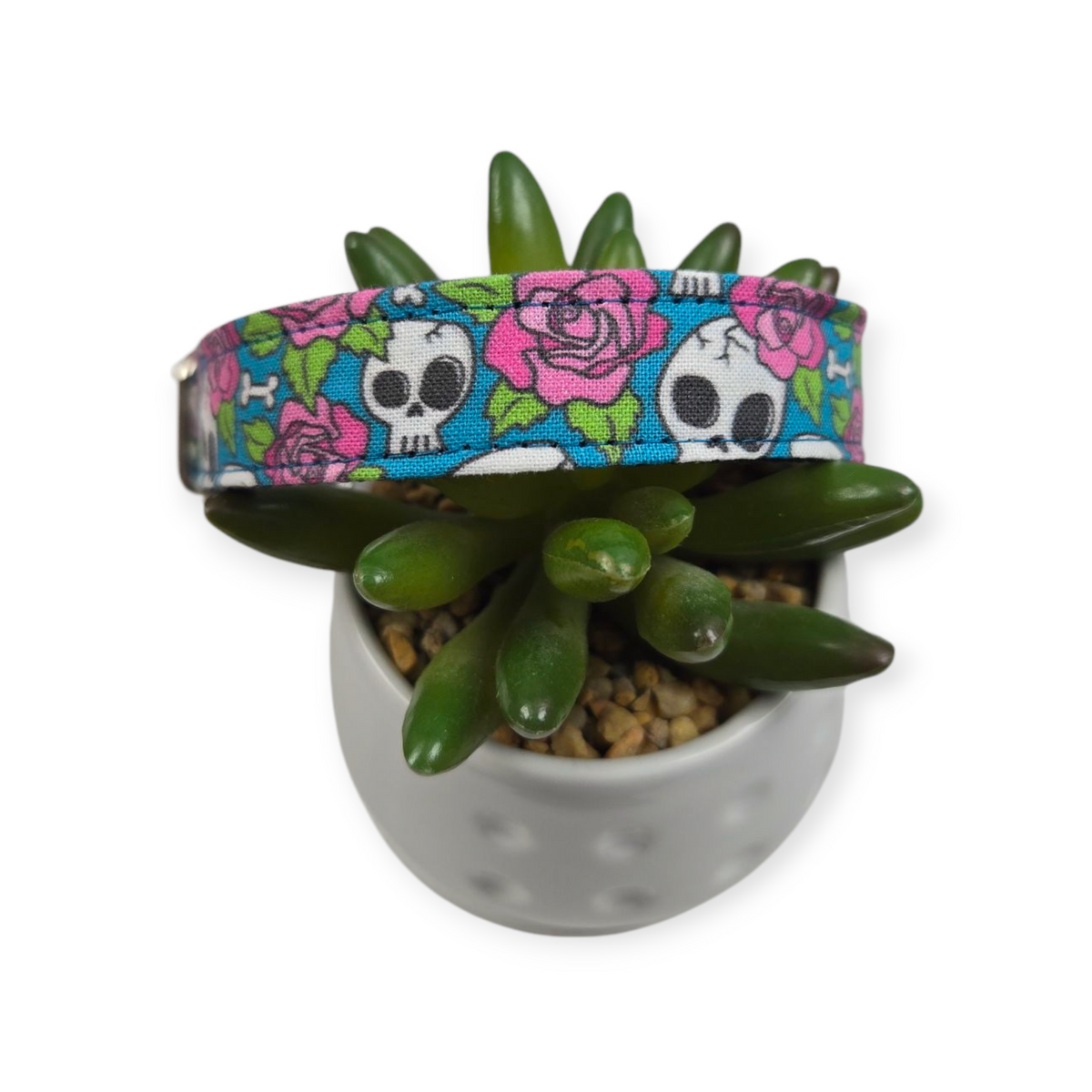 Skulls and Roses Pink on Teal Dog collar (Medium)