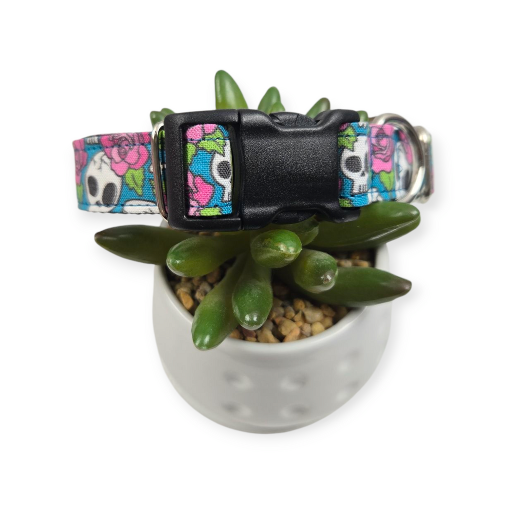 Skulls and Roses Pink on Teal Dog collar (Medium)